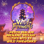 WILD FIREWORKS